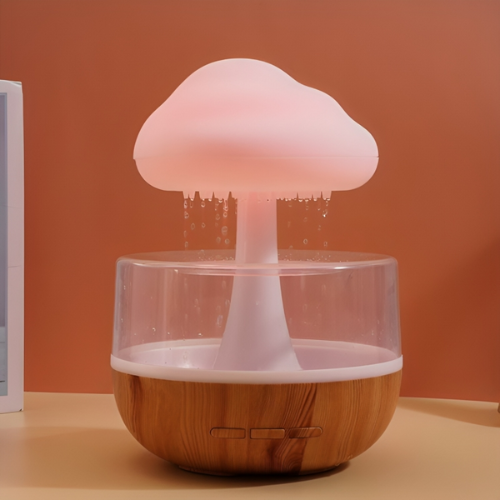 Rain Cloud Humidifier