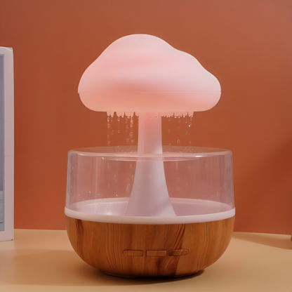 Rain Cloud Humidifier