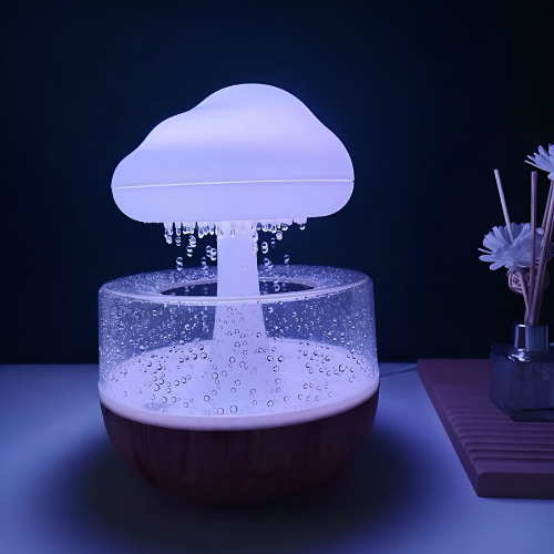 Rain Cloud Humidifier