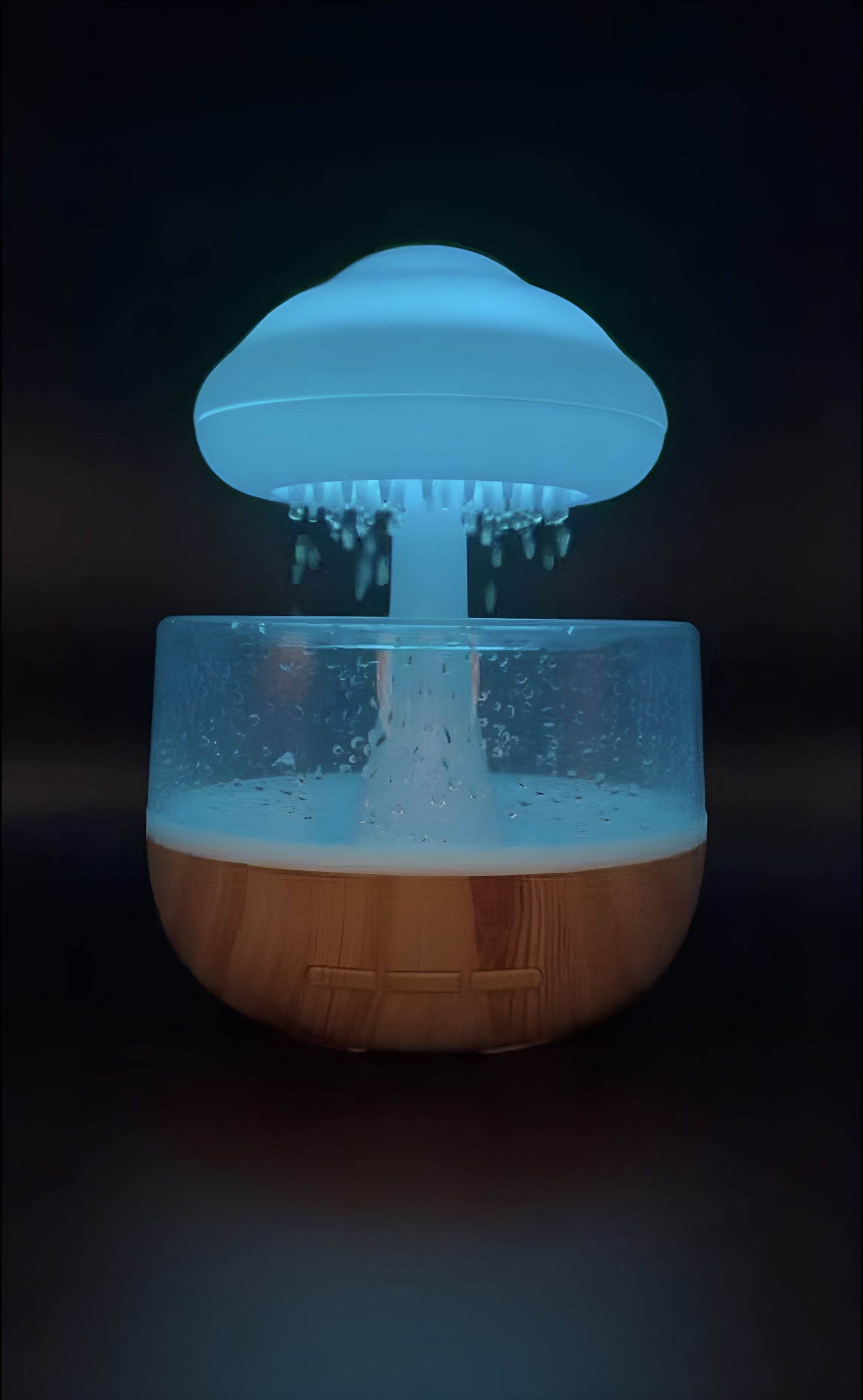 Rain Cloud Humidifier